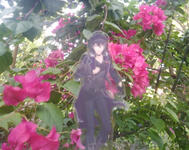 Rei's Heart Flower: bougainvillea - beauty, abundance, and vitality